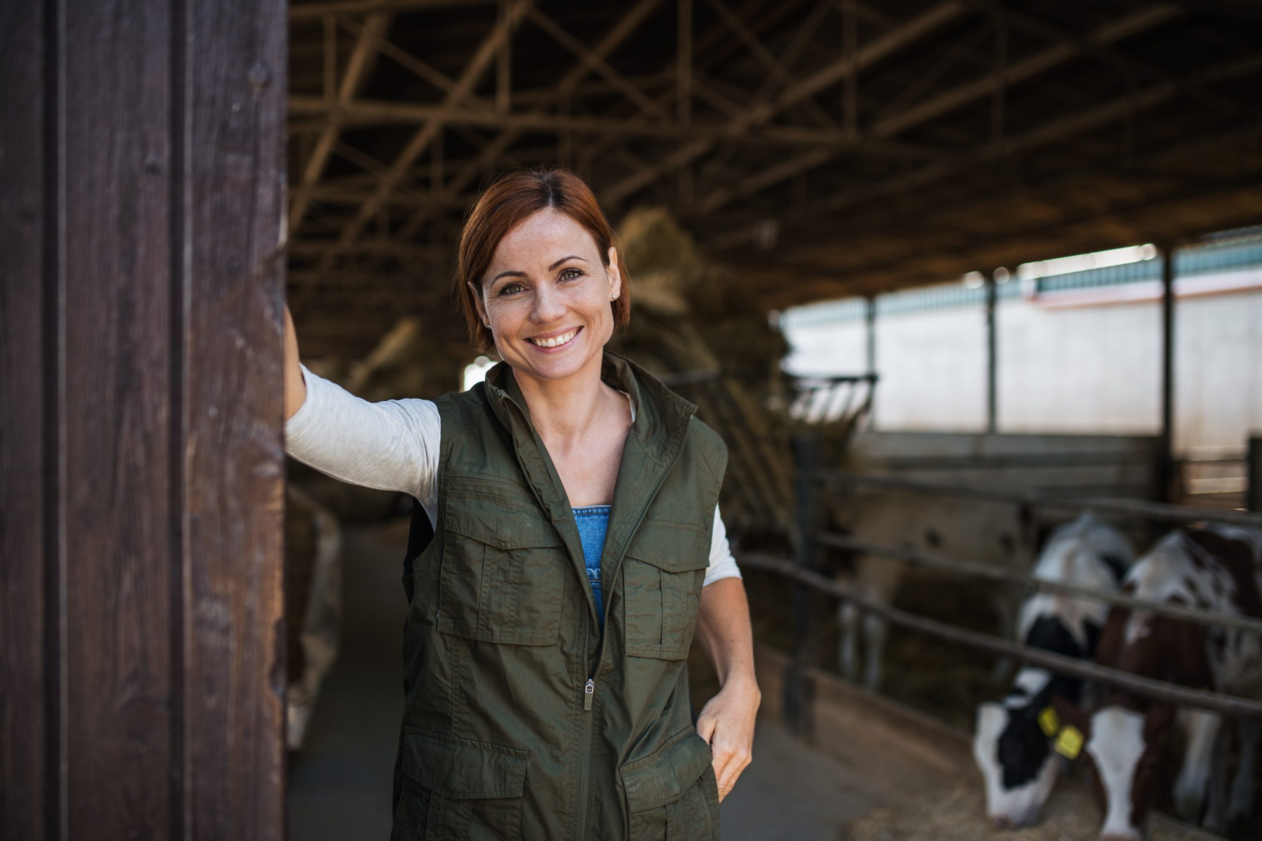 Walsh pushes for 10% of CAP for young farmers post-2027