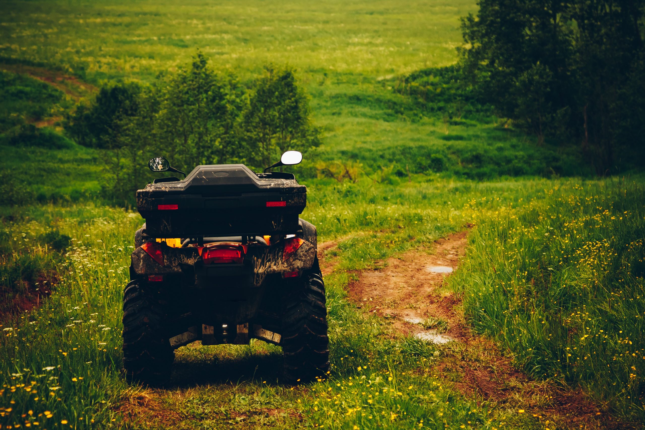 Advice: Low-cost steps to protect your farm from thieves