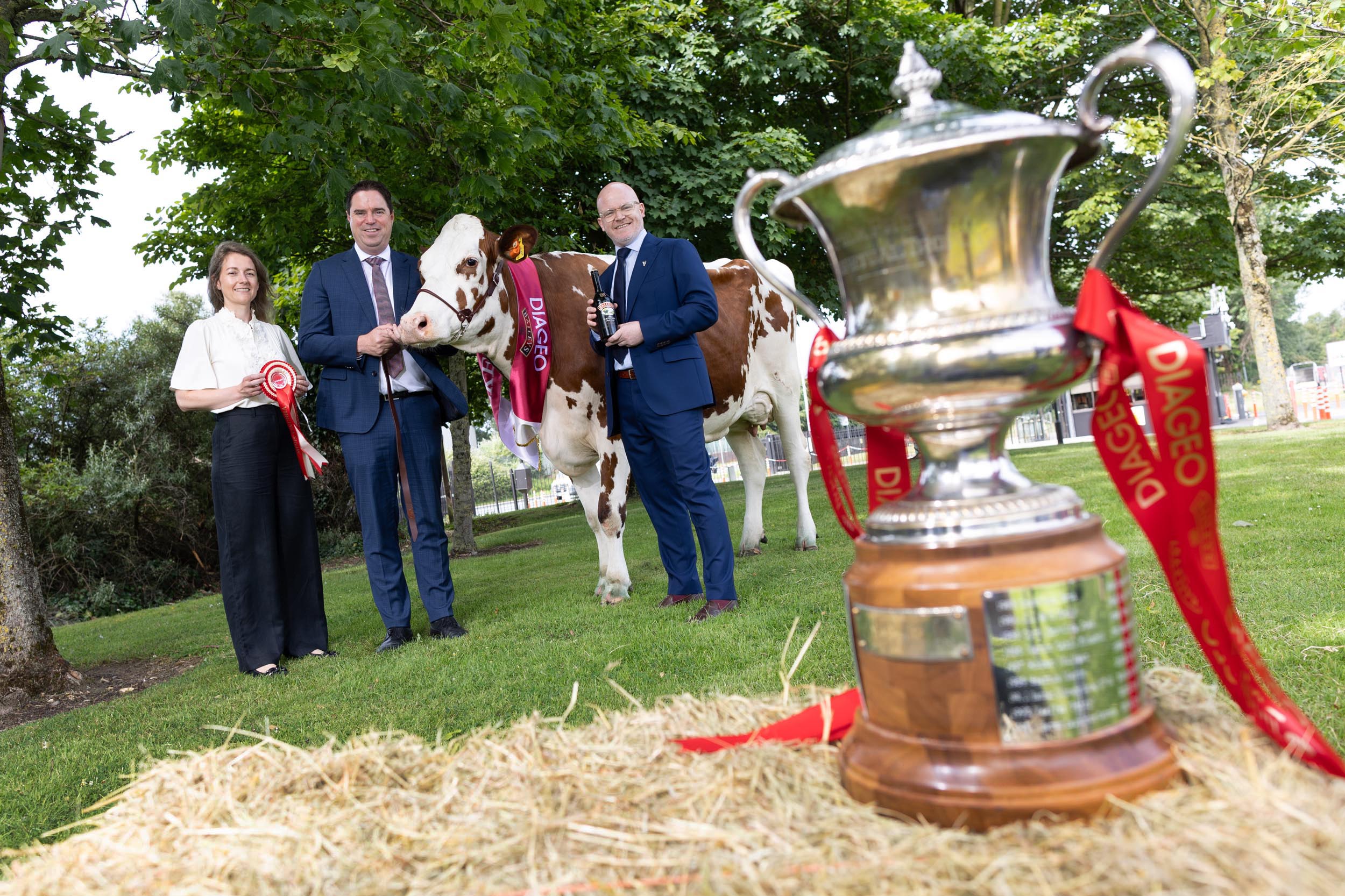 Breeders urged to enter Diageo Baileys cow competition
