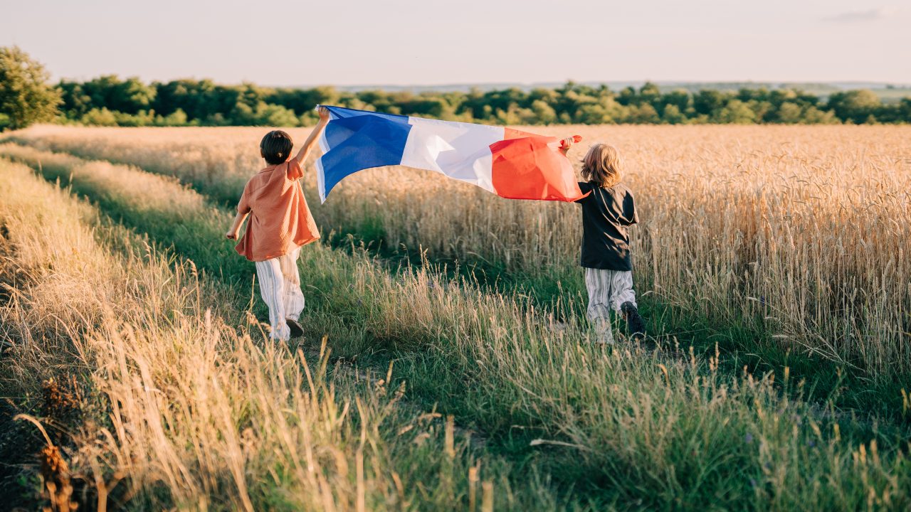 France moves to protect farmers while Irish beef faces backlash
