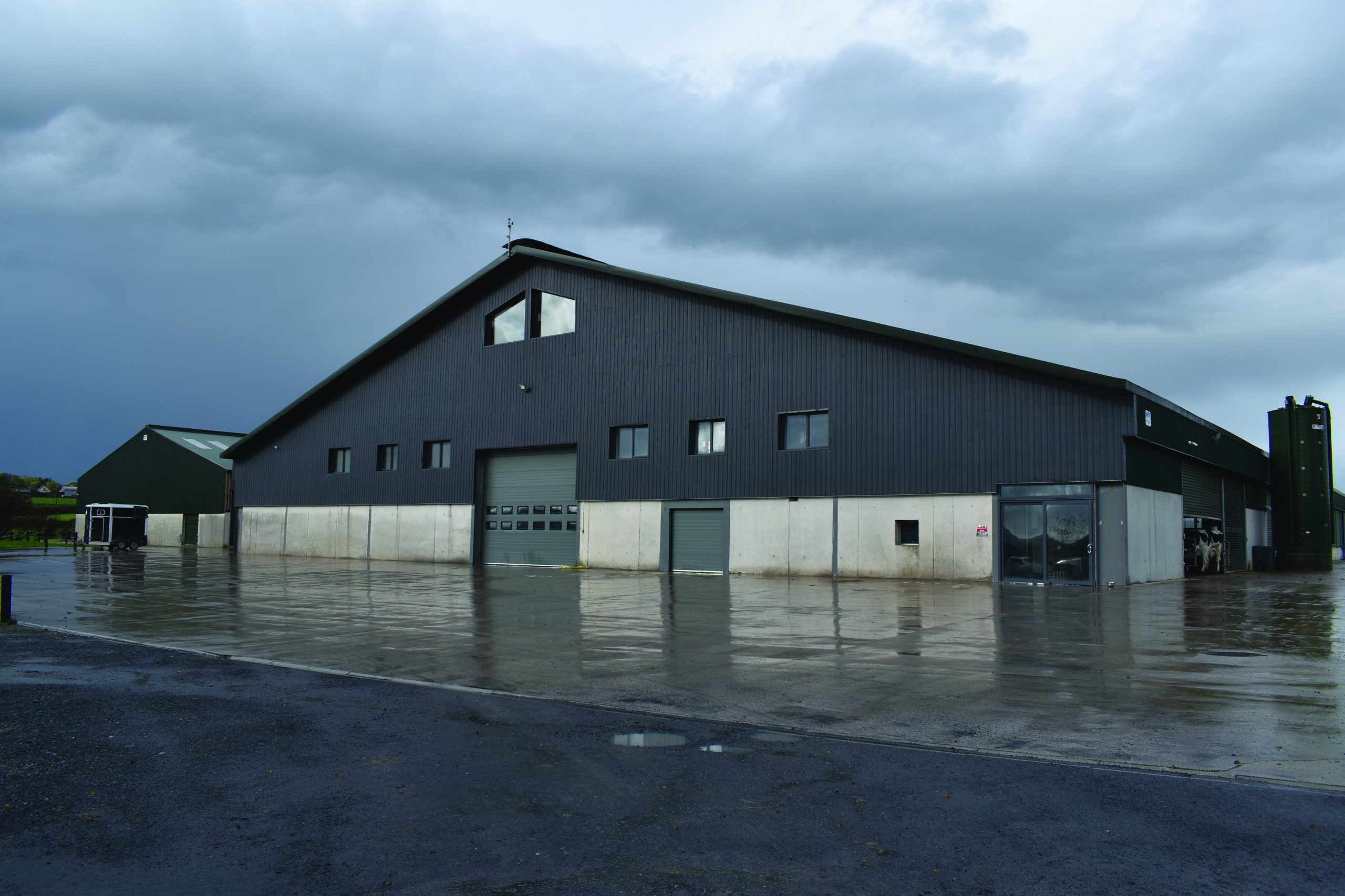 IHFA National Open Day comes to Cedarmore Holsteins