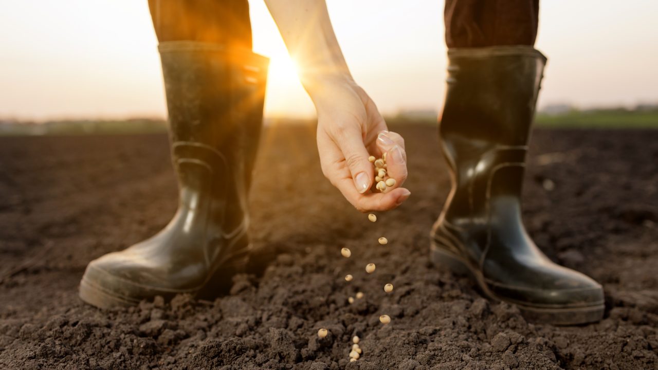 New legal report reveals seed network potential for Irish farmers