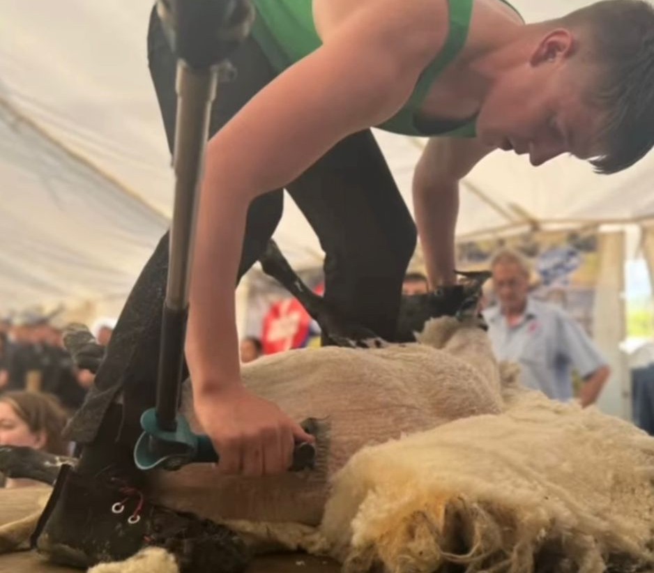 Wicklow man who is top junior shearer takes ‘every competition as it comes’