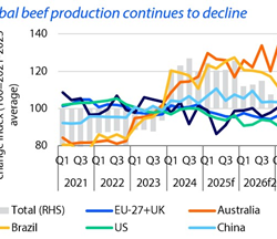 Ireland leads EU in sharpest beef production fall
