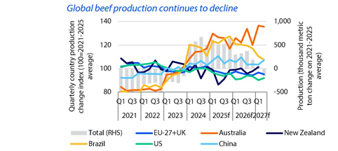 Ireland leads EU in sharpest beef production fall – down 14%