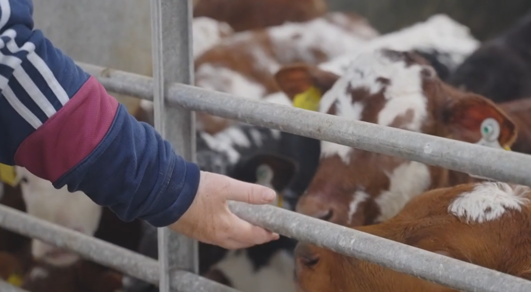 Watch: Groundbreakers – Driving change for women farmers