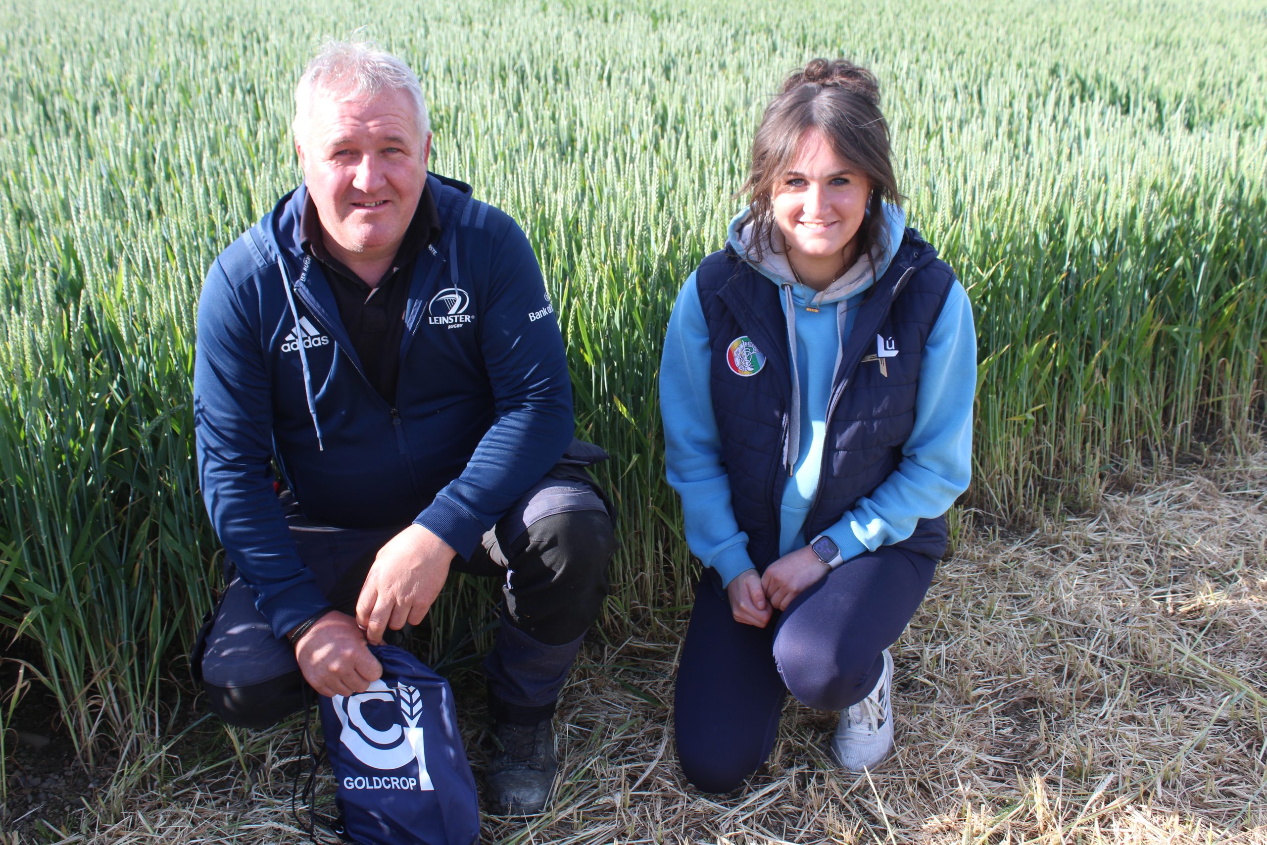 Goldcrop to focus on BYDV tolerance in trials
