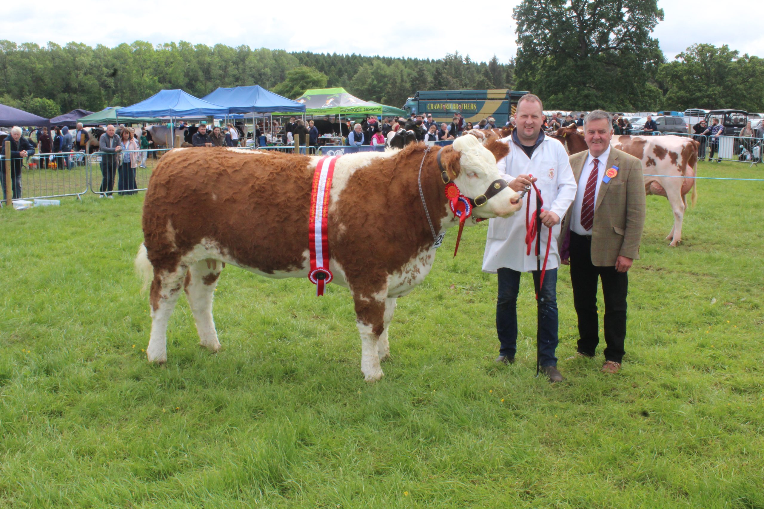 ‘Tremendous’ turnout of young handlers at Armagh Show 2026