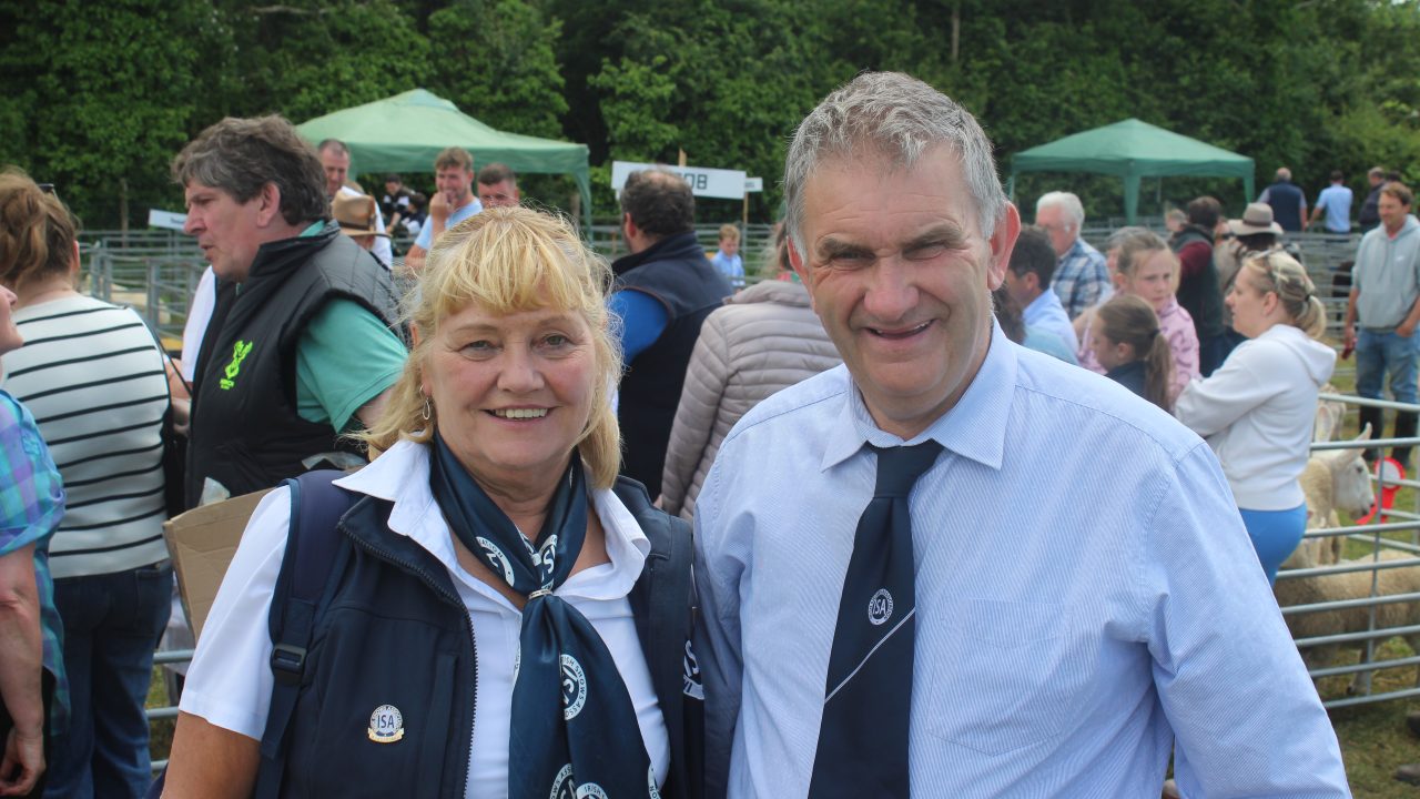 Stormont Executive urged to support local agricultural shows in NI