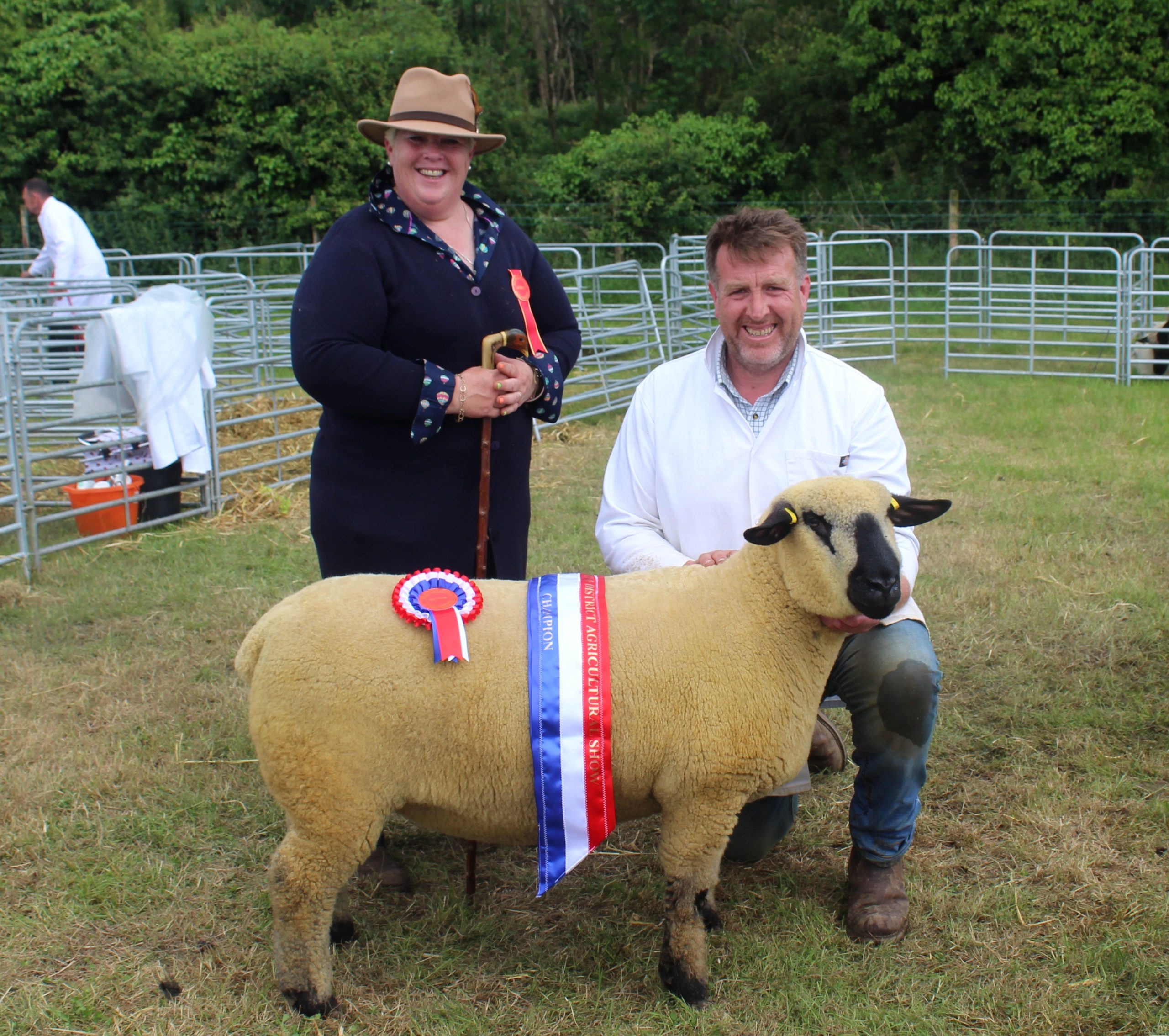 Stormont Executive urged to support local agricultural shows in NI