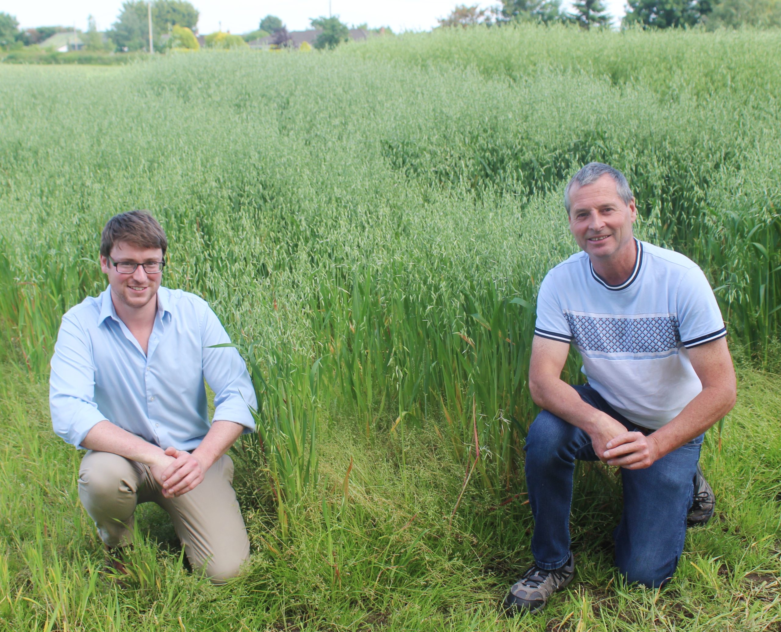 ‘Significant potential’ to expand the scope of NI arable farming – specialist