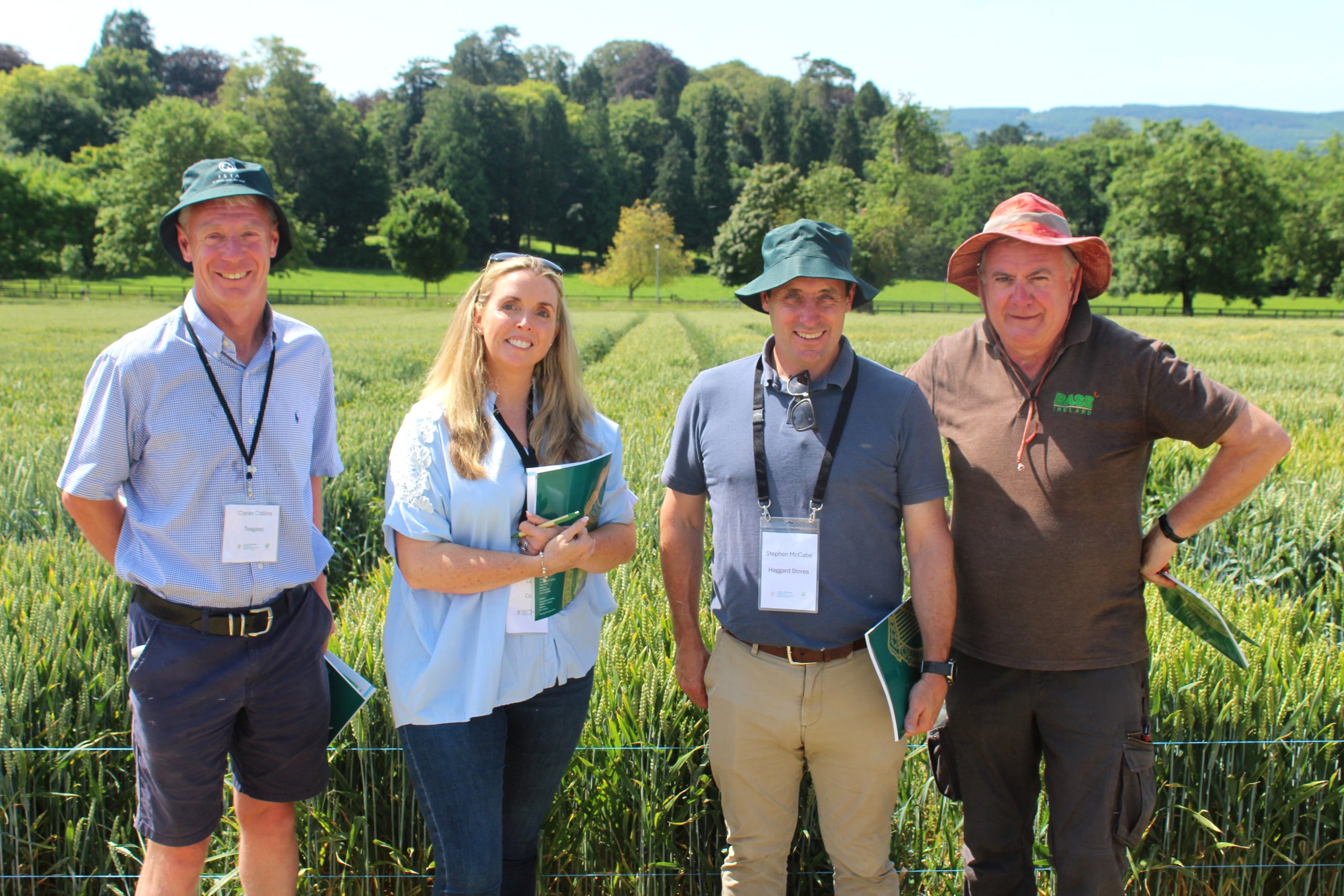 BYDV tolerant winter wheat expected to soon be commercially available