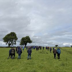 Galway farm boosts milk solids and price with breeding and grass focus