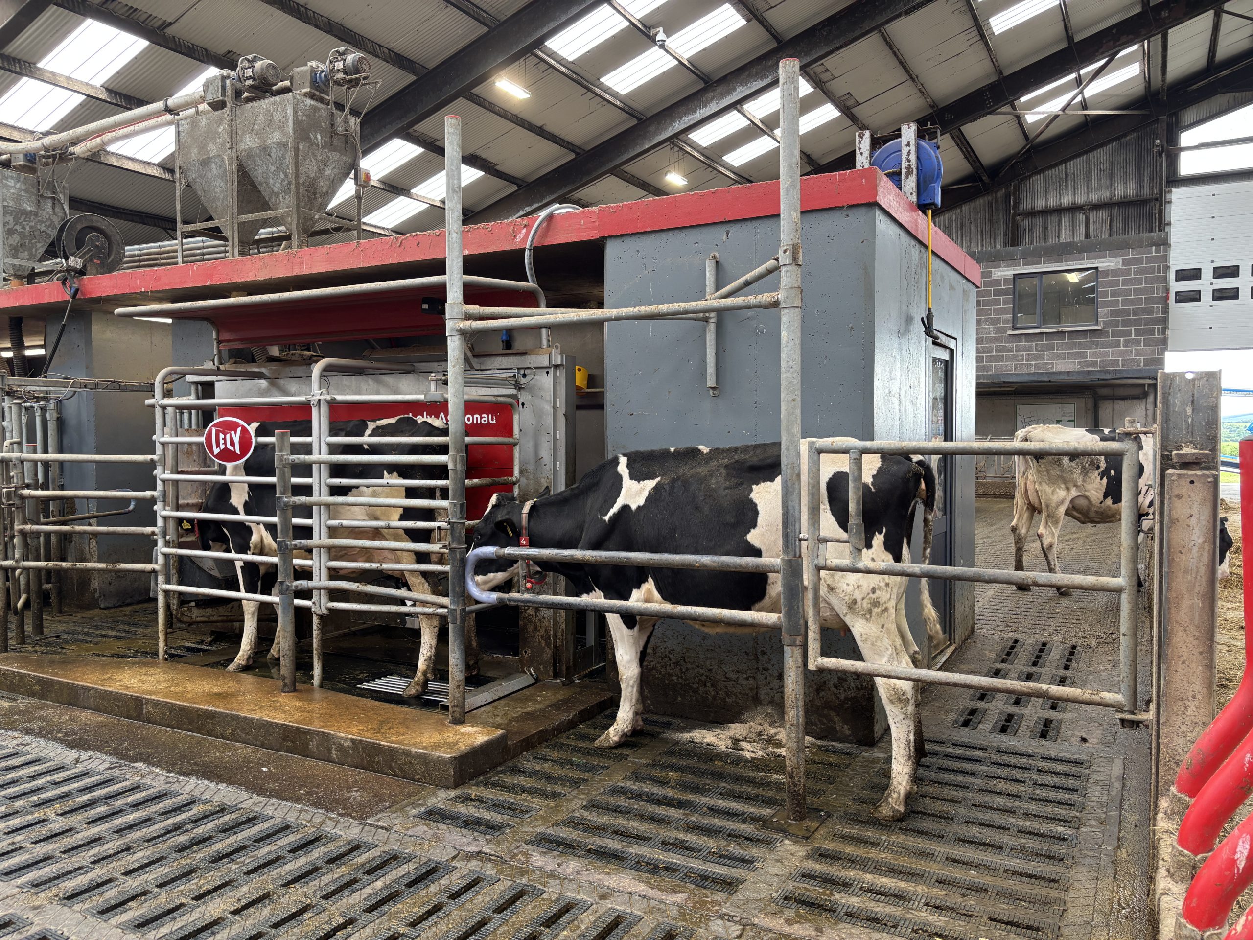 A look inside this years IHFA open day host farm