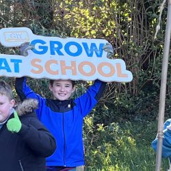 Ireland urged to expand school food education programs