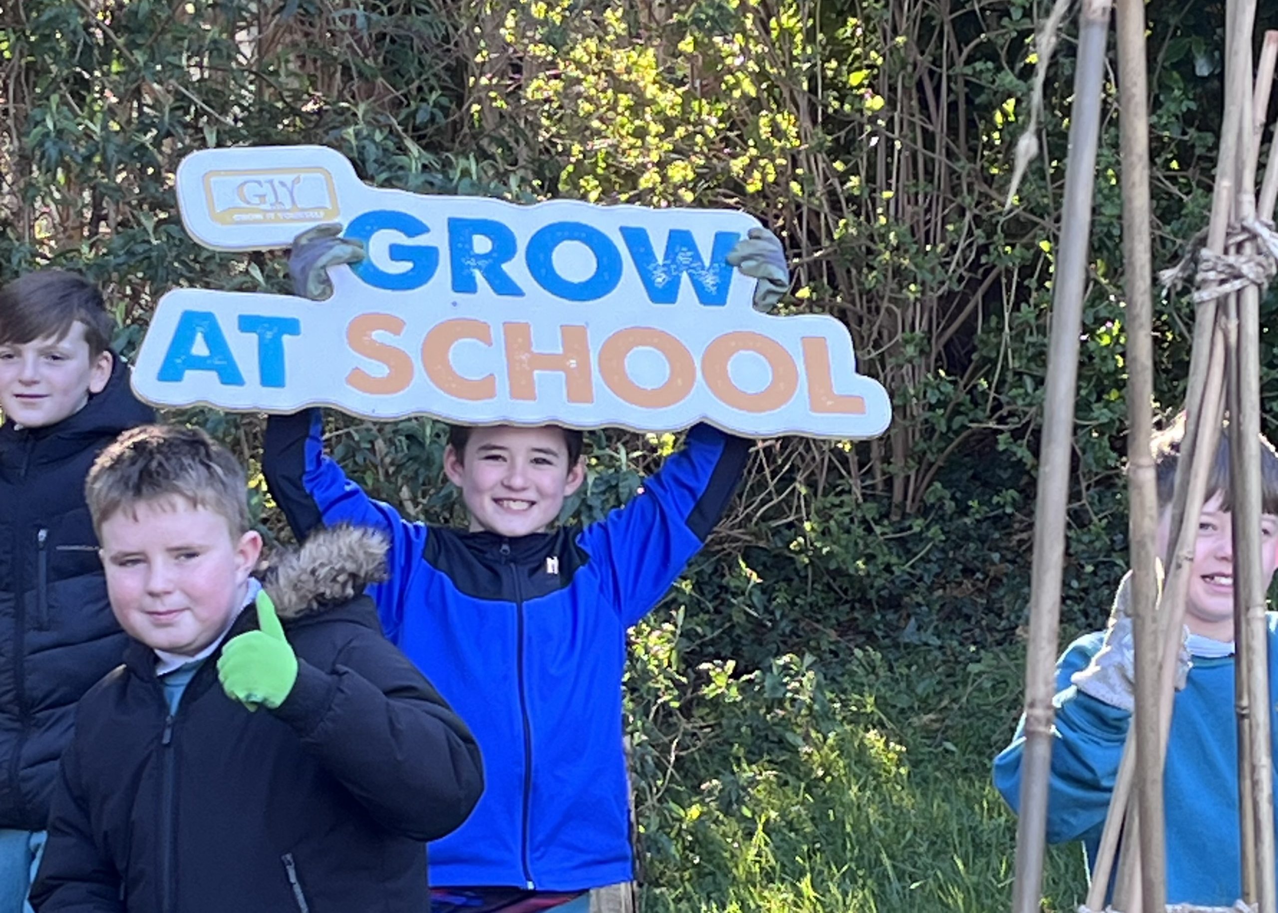 Govt urged to expand practical food education in schools