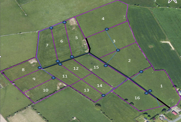 Progressive Galway calf-to-beef system to host national farm walk
