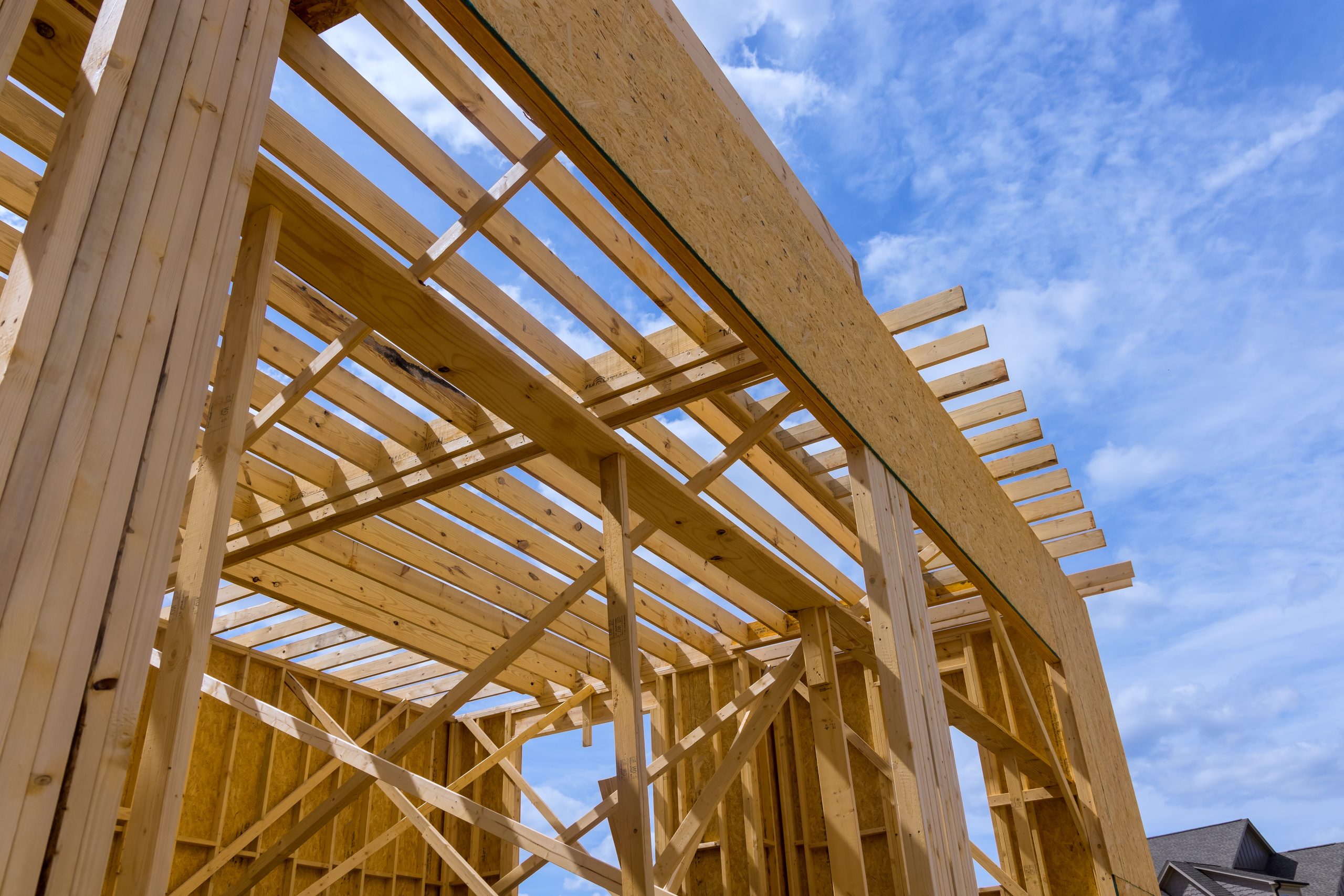 Coillte welcomes ‘roadmap’ to increase timber construction
