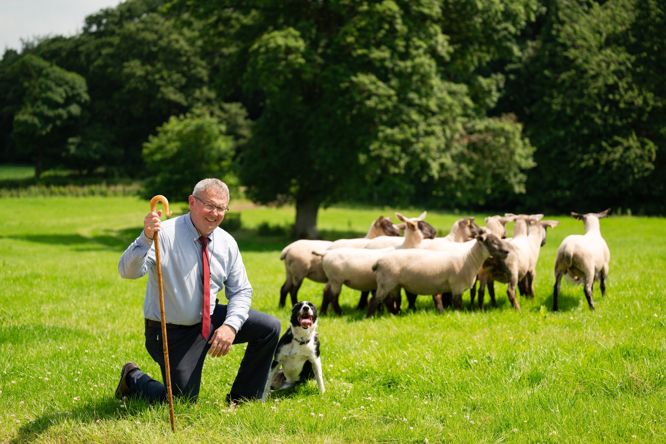 Irish National Sheepdog Trials set to take place in Tyrone
