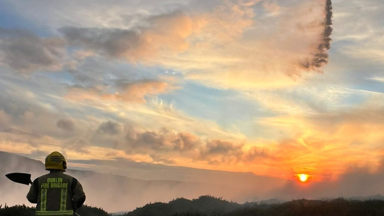Minister condemns ‘reckless’ illegal Wicklow fire that destroyed 66ha