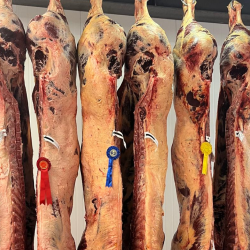 Cork and Mayo cows win Ashbourne Meats Limousin carcase competition