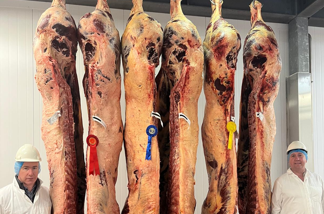 Cork and Mayo cows win Ashbourne Meats Limousin carcase competition