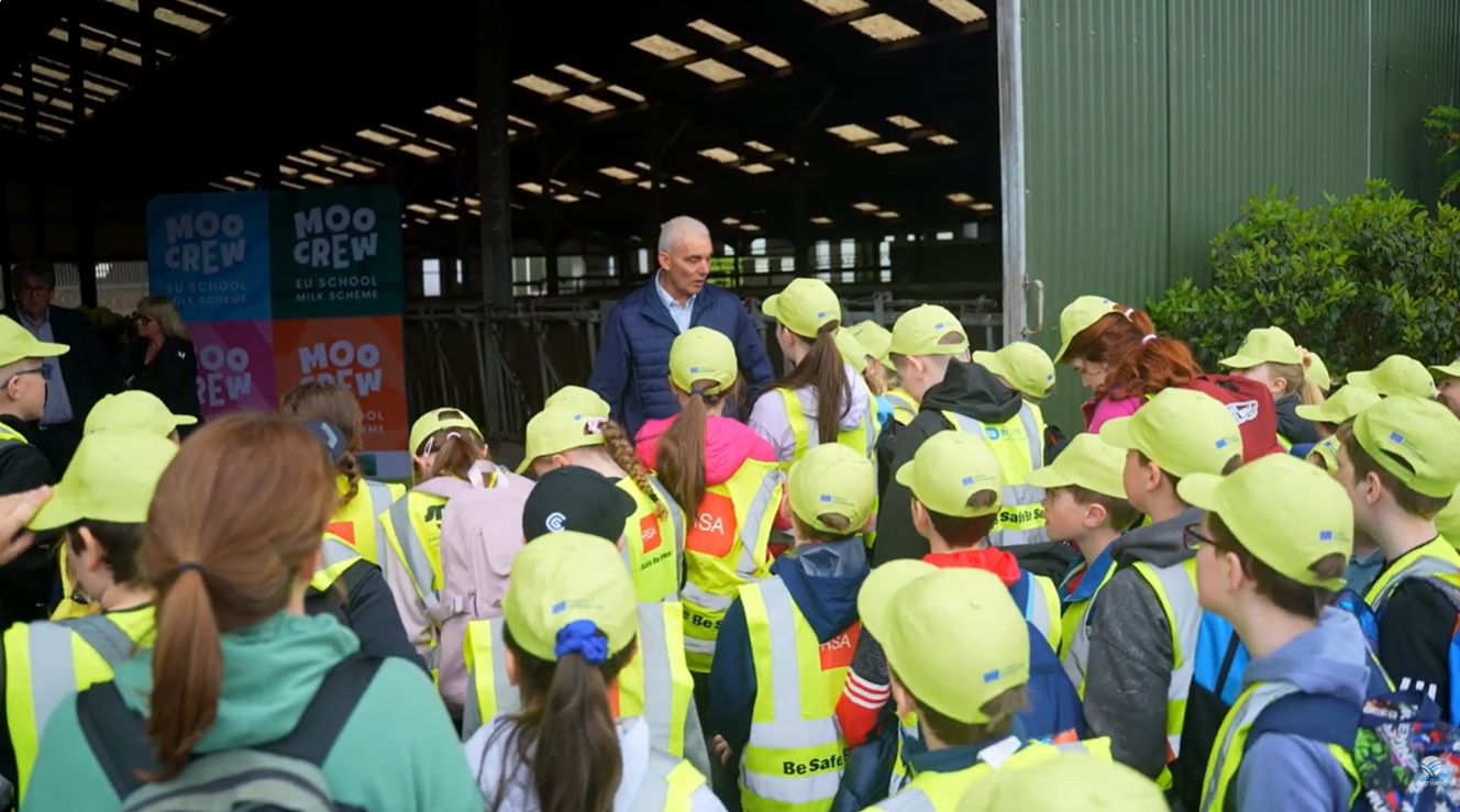 Watch: ‘From grass to glass’ – taking children on the dairy journey