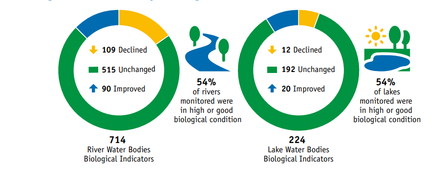 ‘Little overall improvement’ in water quality in 2025 – EPA