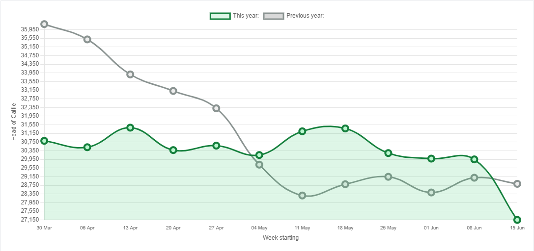 Beef kill: Is the factory kill numbers drop due to less demand or tighter supply?