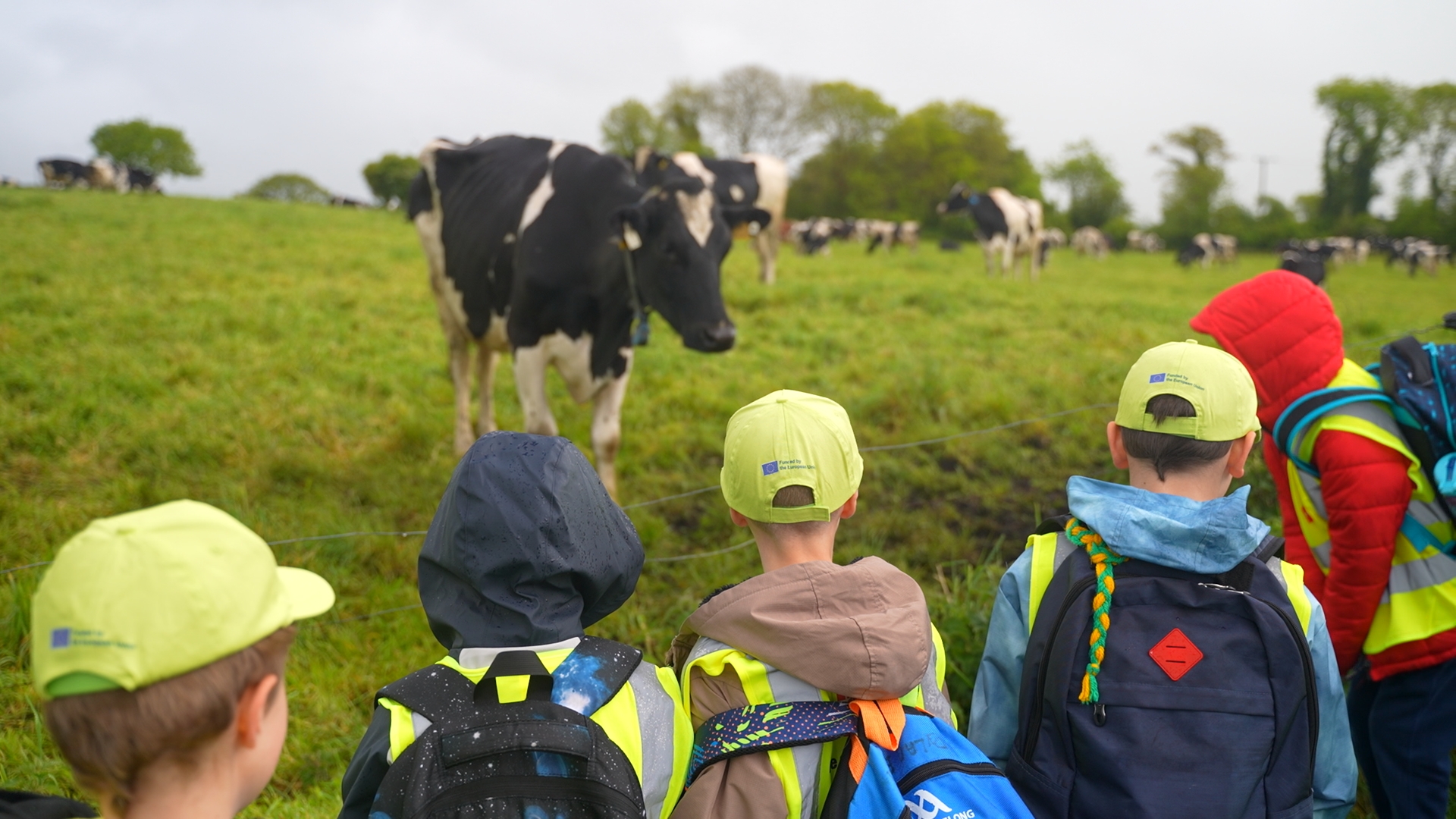 Not just a carton on a shelf: Showing children where milk begins
