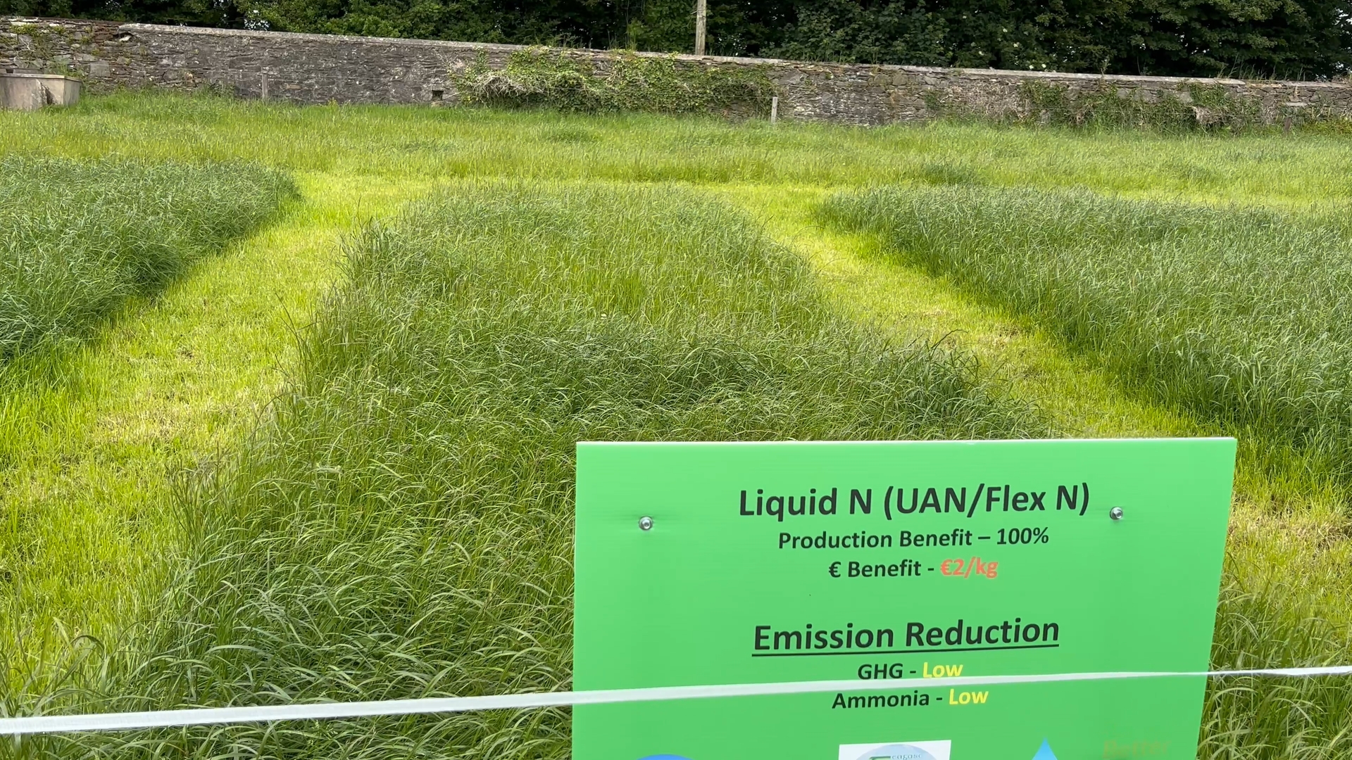 Watch: Comparing grass growth from different fertiliser types