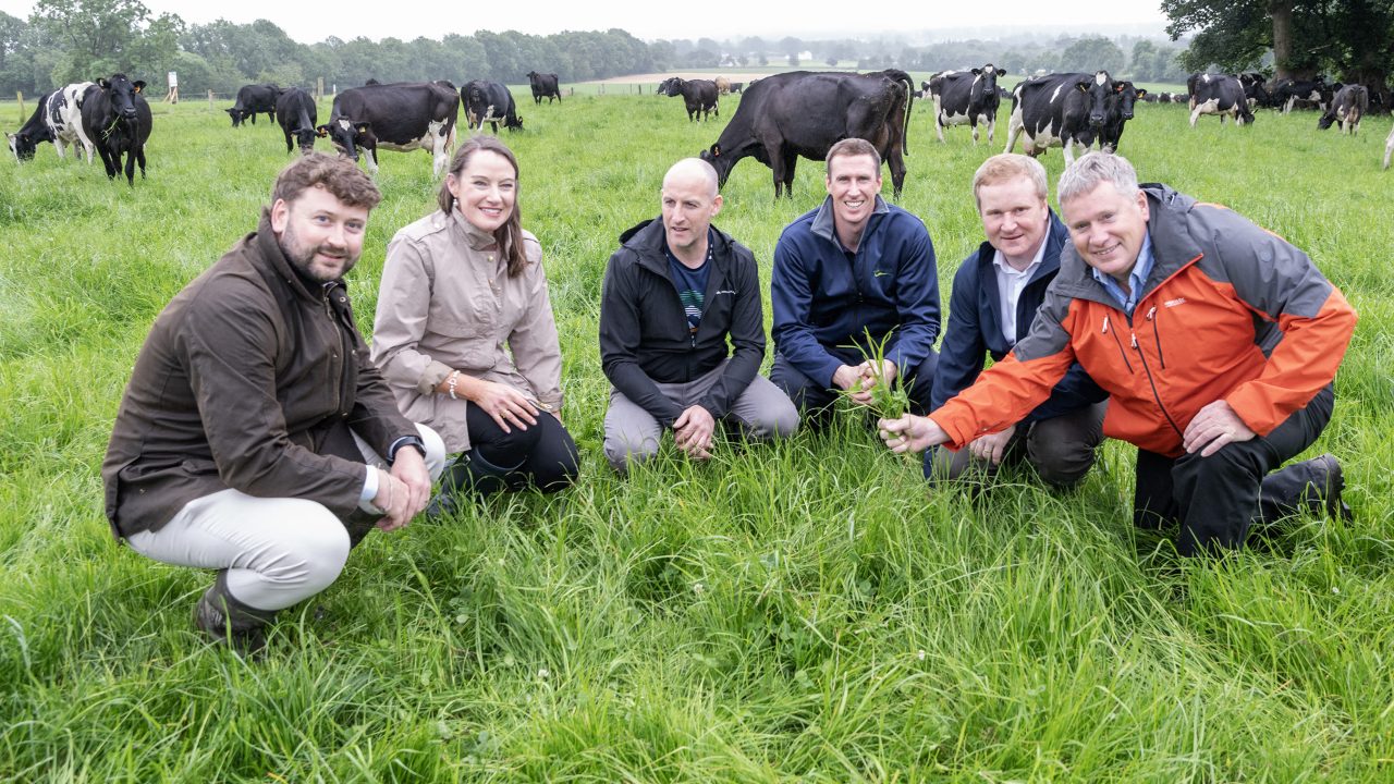 Farmers need to ‘know your number’ when it comes to nitrogen