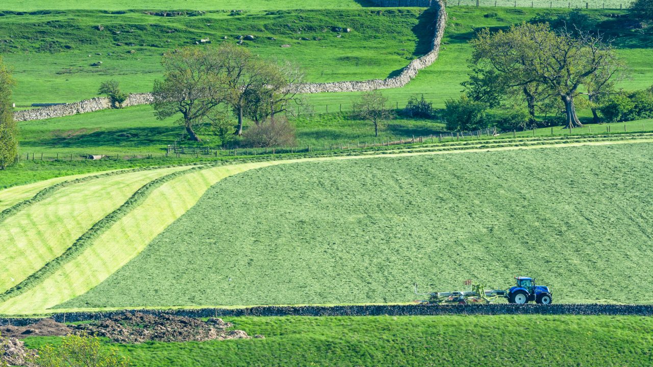 Passing it on: The ‘succession effect’ on land access and Irish farms
