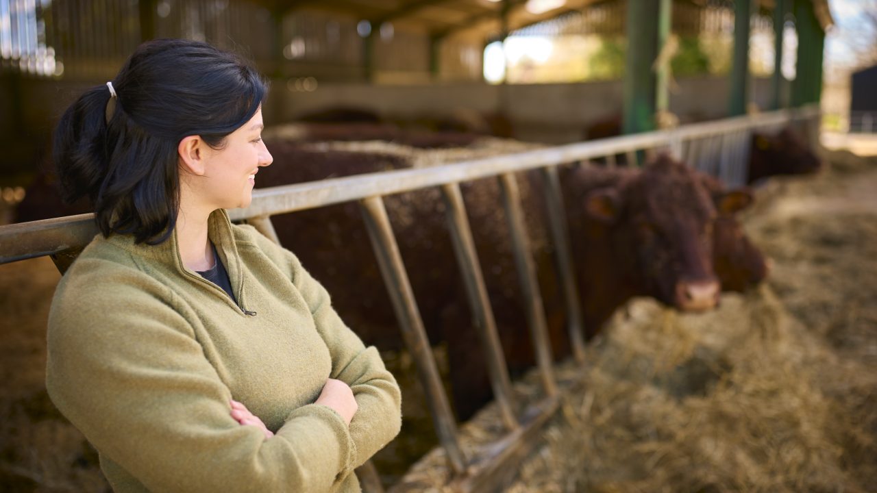 What will new EU rules on meat labelling and ‘fair pricing’ mean for farmers?