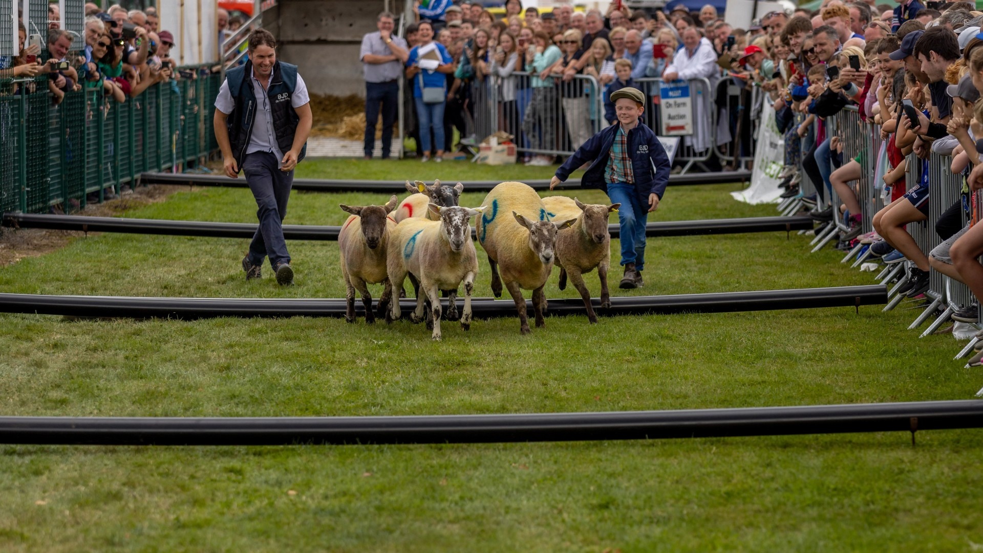 Experience the best of Irish country life at Virginia Show 2026