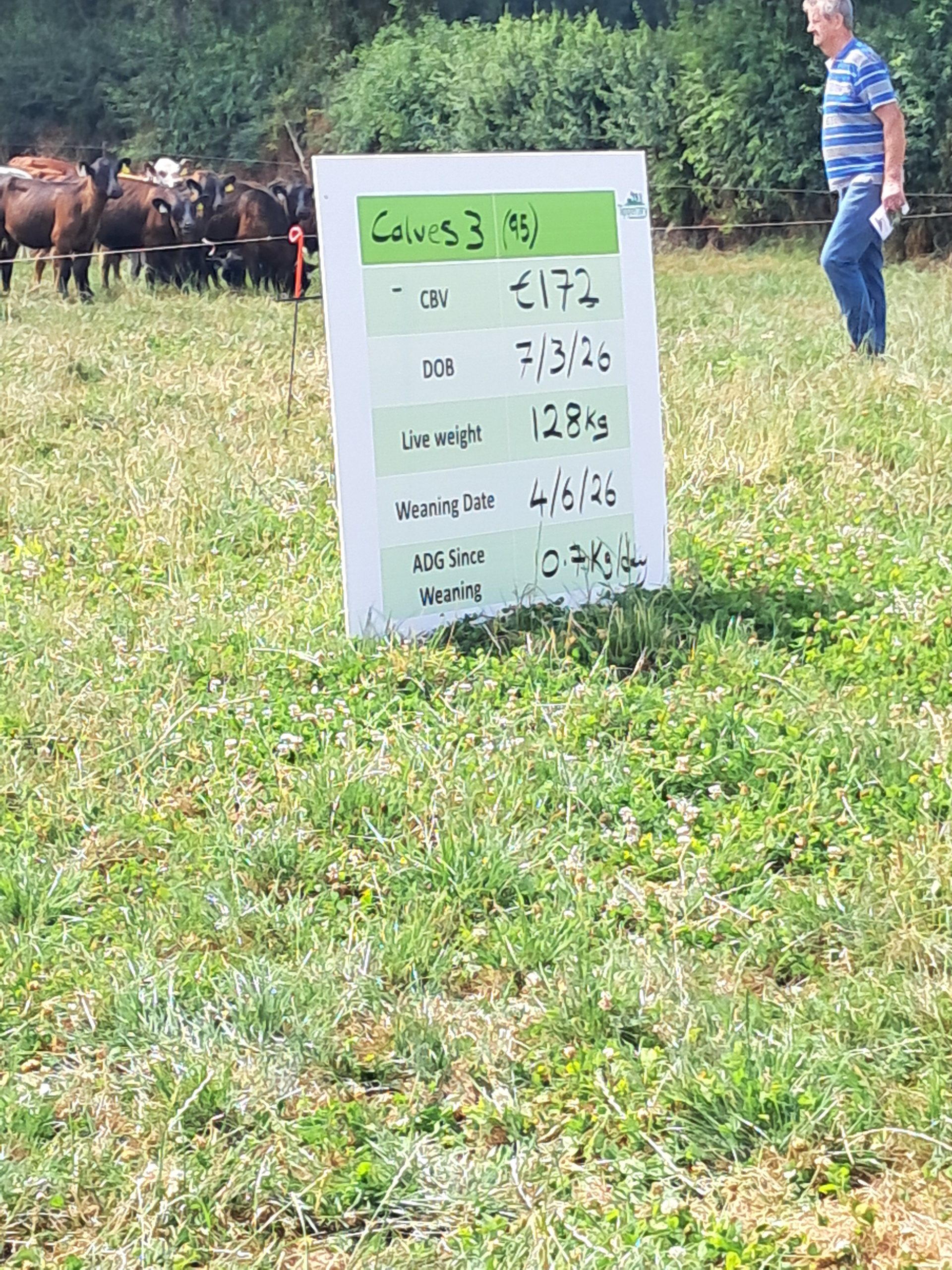 Labour efficiency at heart of calf rearing on demo farm
