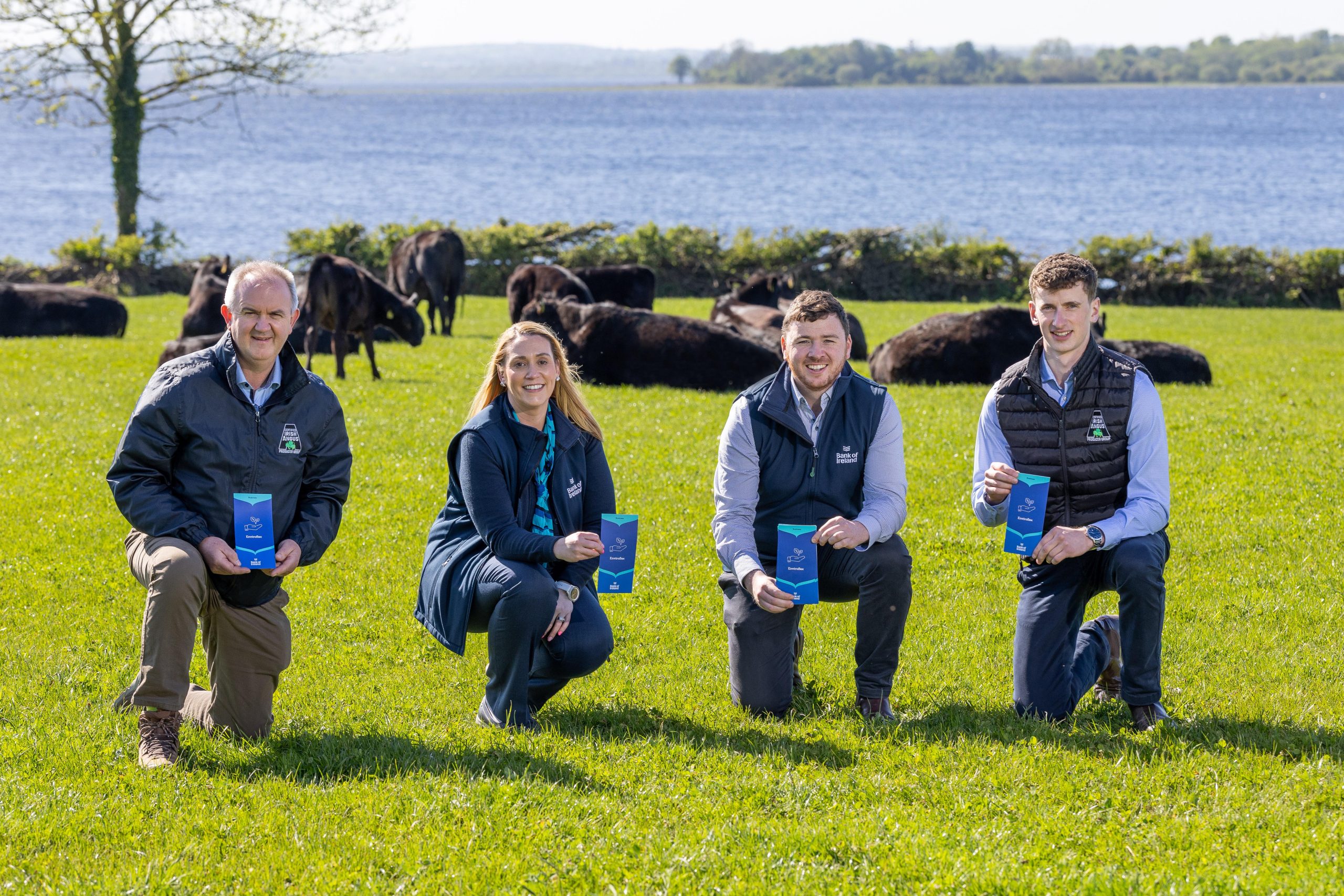 Certified Irish Angus announces partnership to offer loans to beef farmers