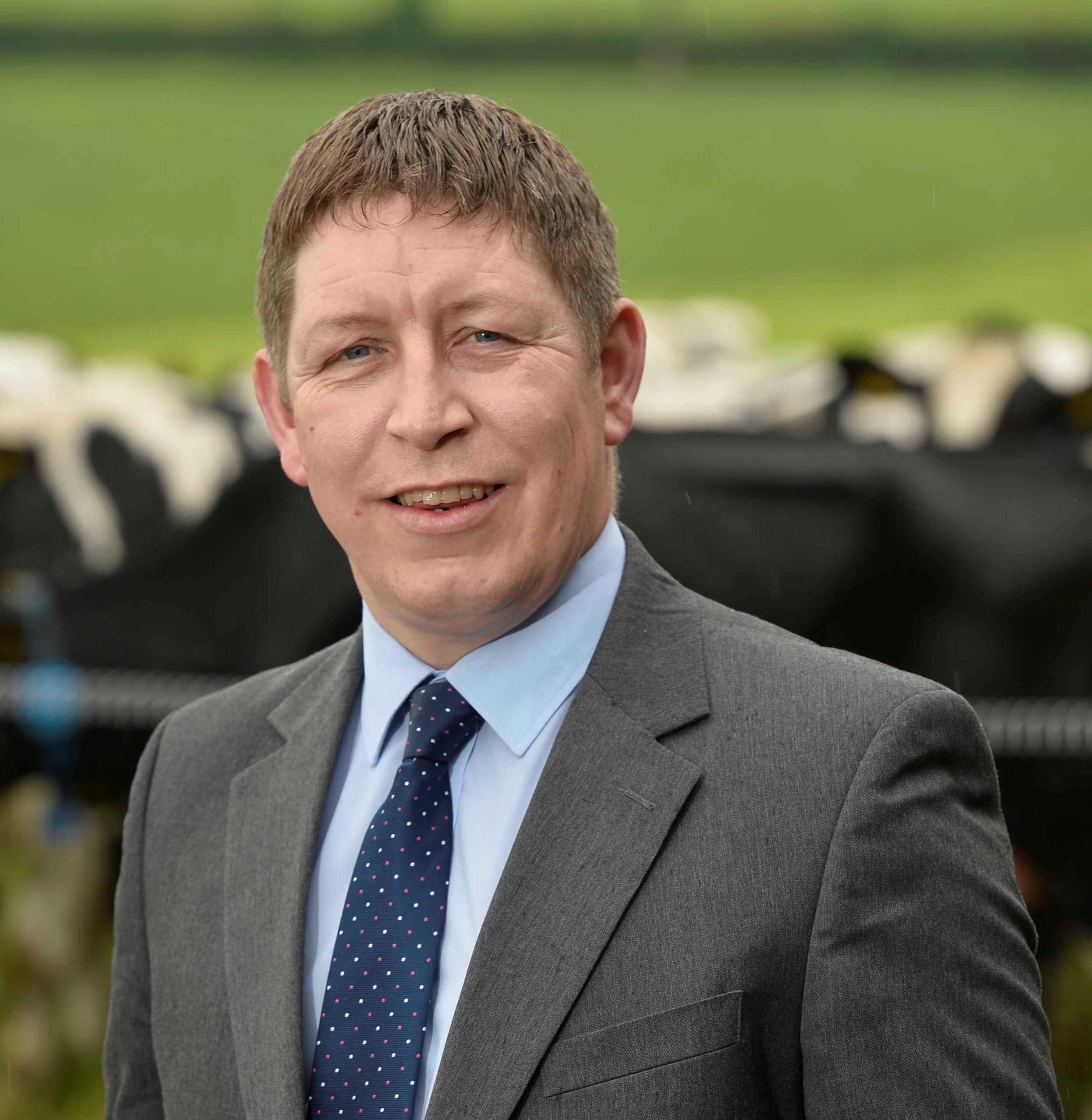 ‘Volatile’ prices key challenge for NI agriculture – Danske Bank