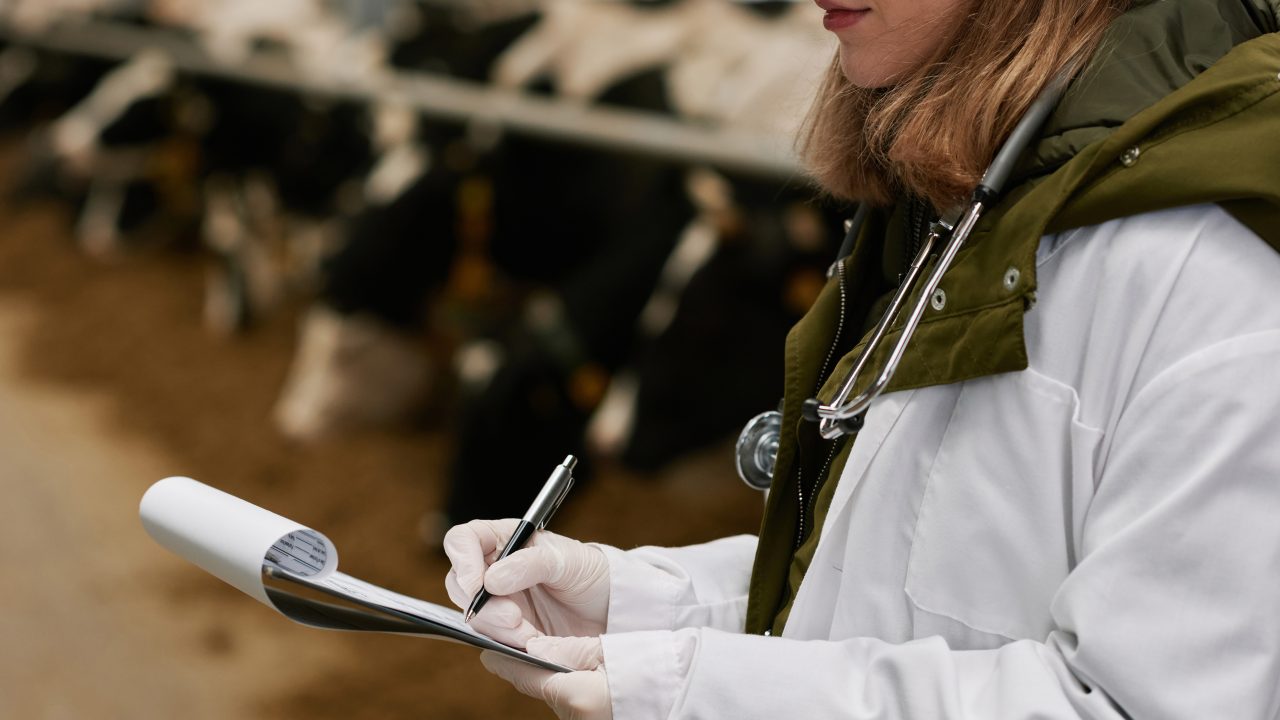 16 animal welfare hotline complaints triggered by cattle cull video