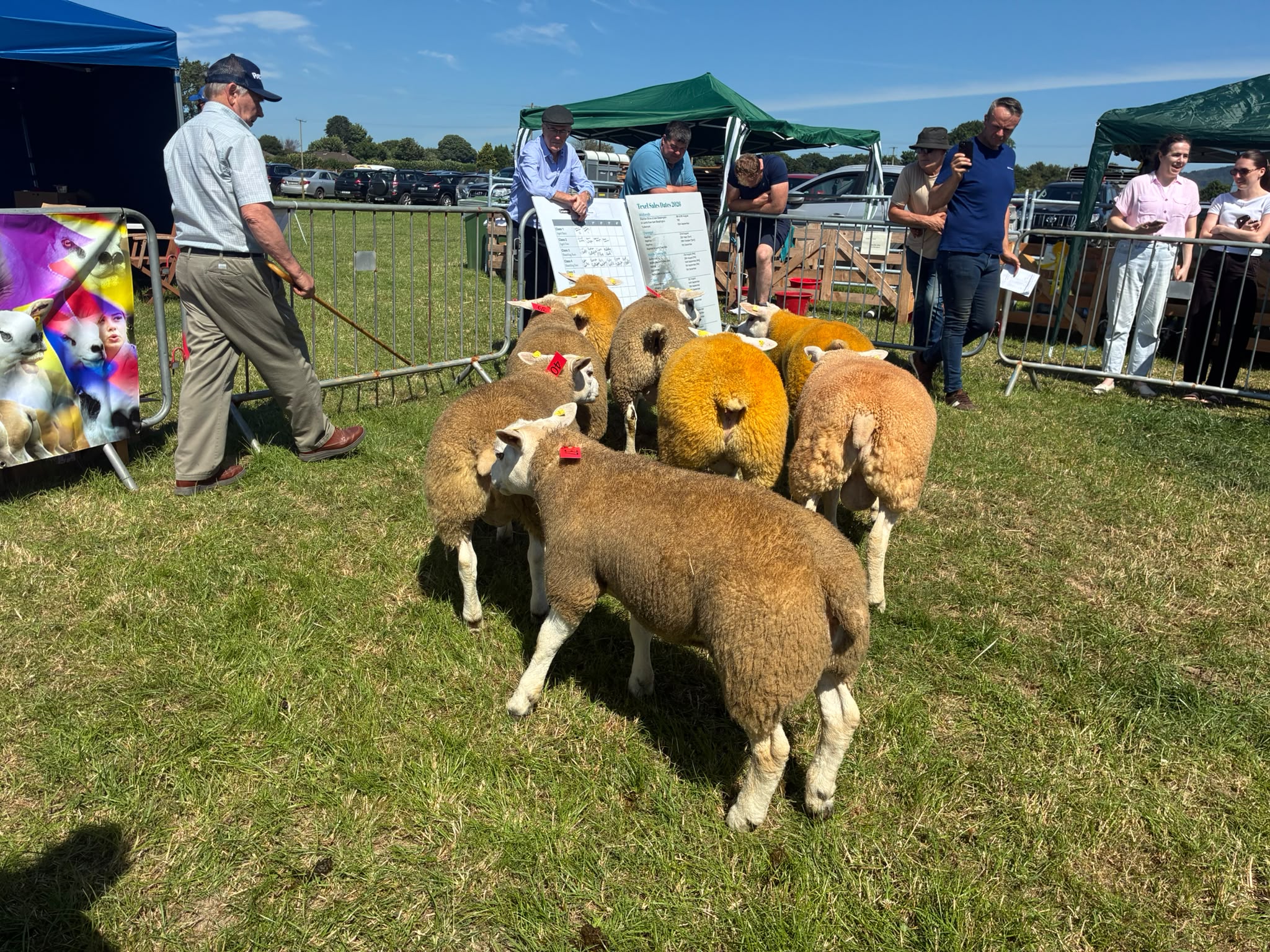 New Agriland podcast ‘Around the Shows’ kicks off in Dungarvan