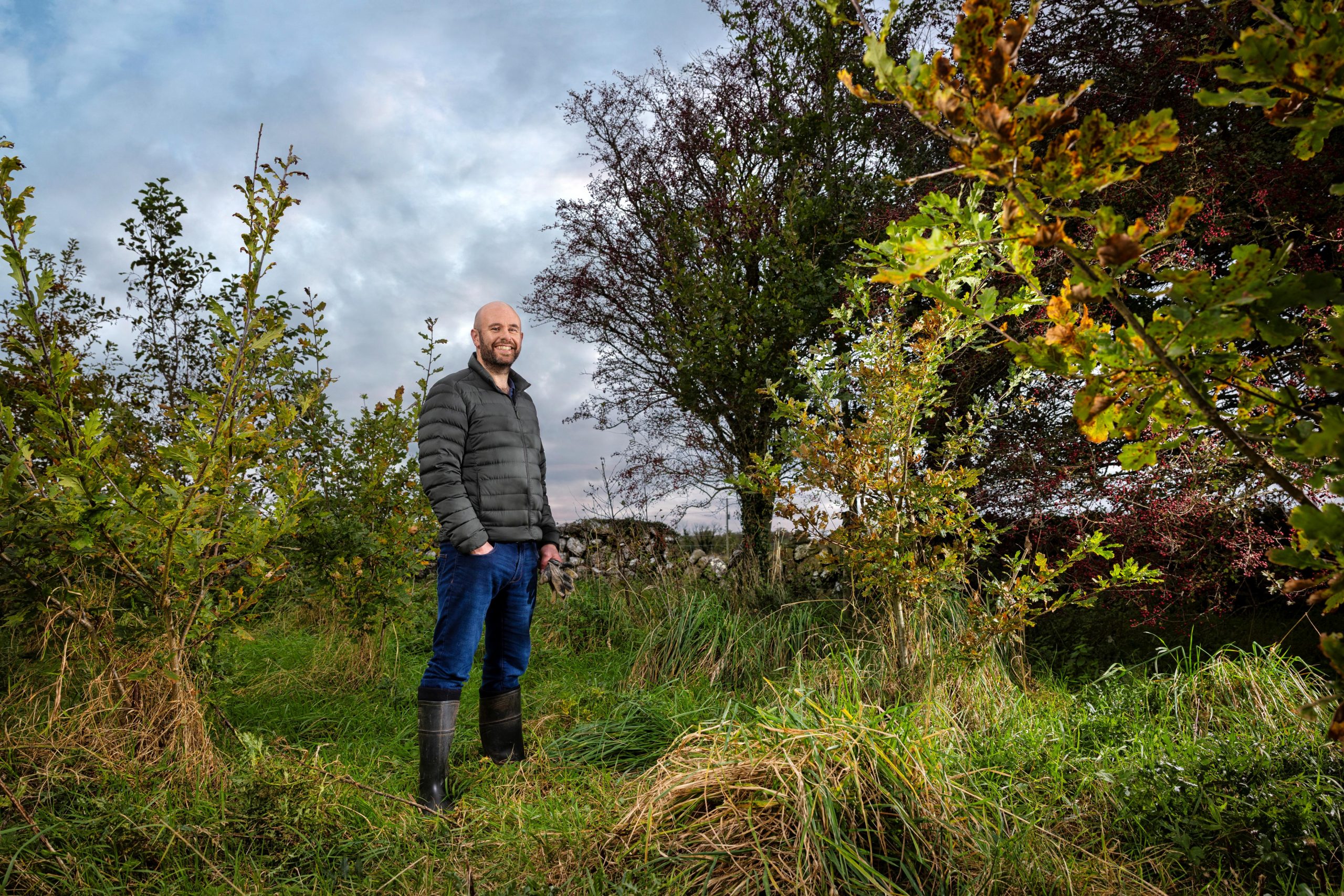 Forestry offering a 'steady income for 20 years' - Galway beef farmer