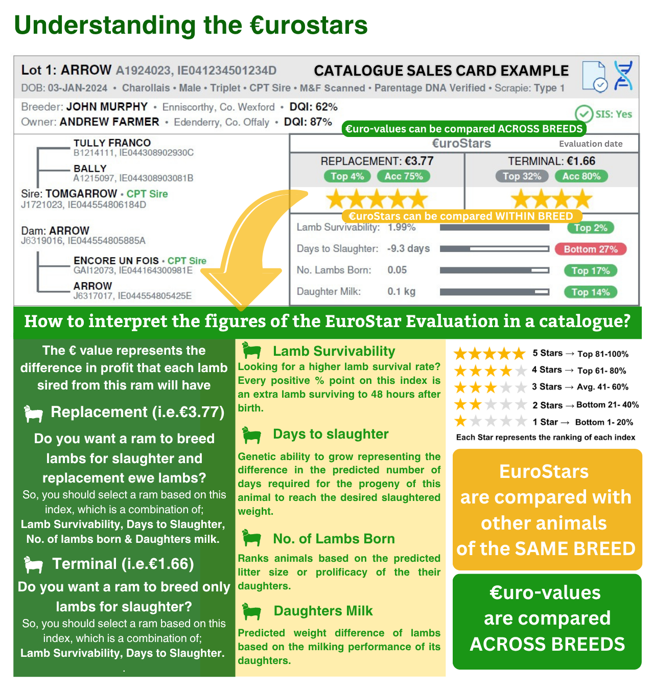 Explainer: Understanding €urostar information when buying rams