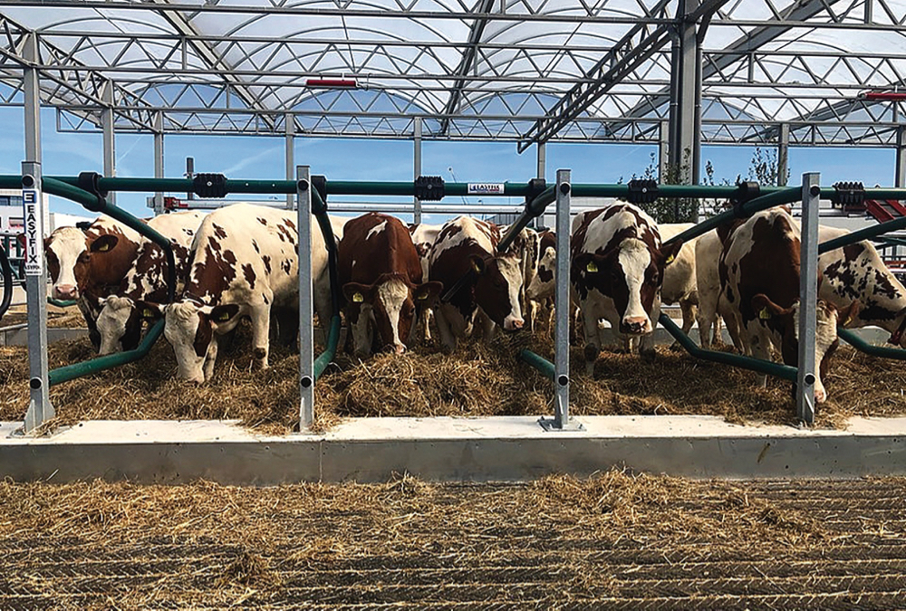 Red tape forces closure of world’s first floating dairy farm