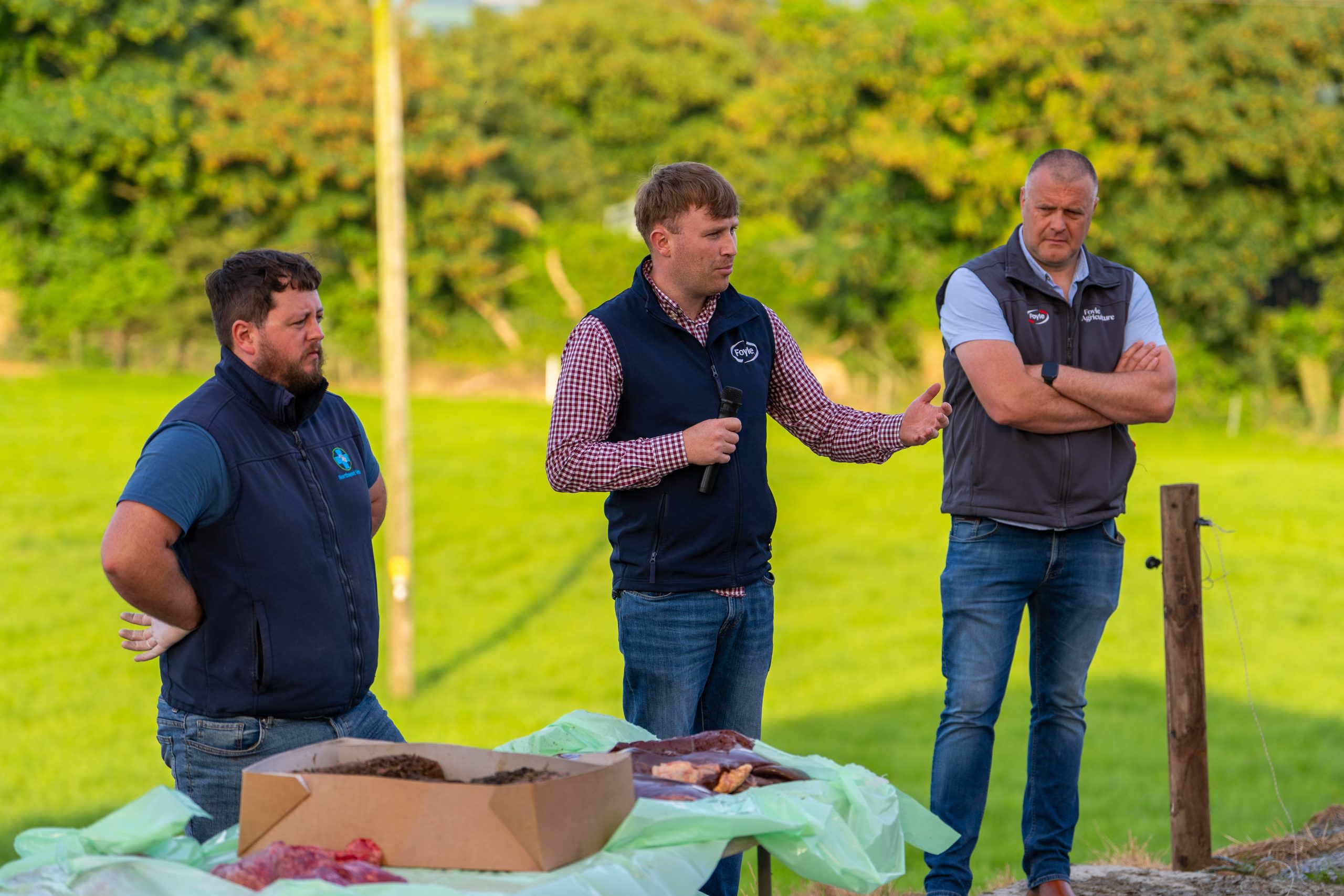 130-cow Donegal dairy farmer wins beef factory quality award