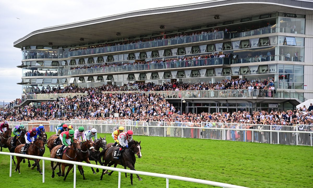 Galway Races are just around the corner - will farmers take a break?