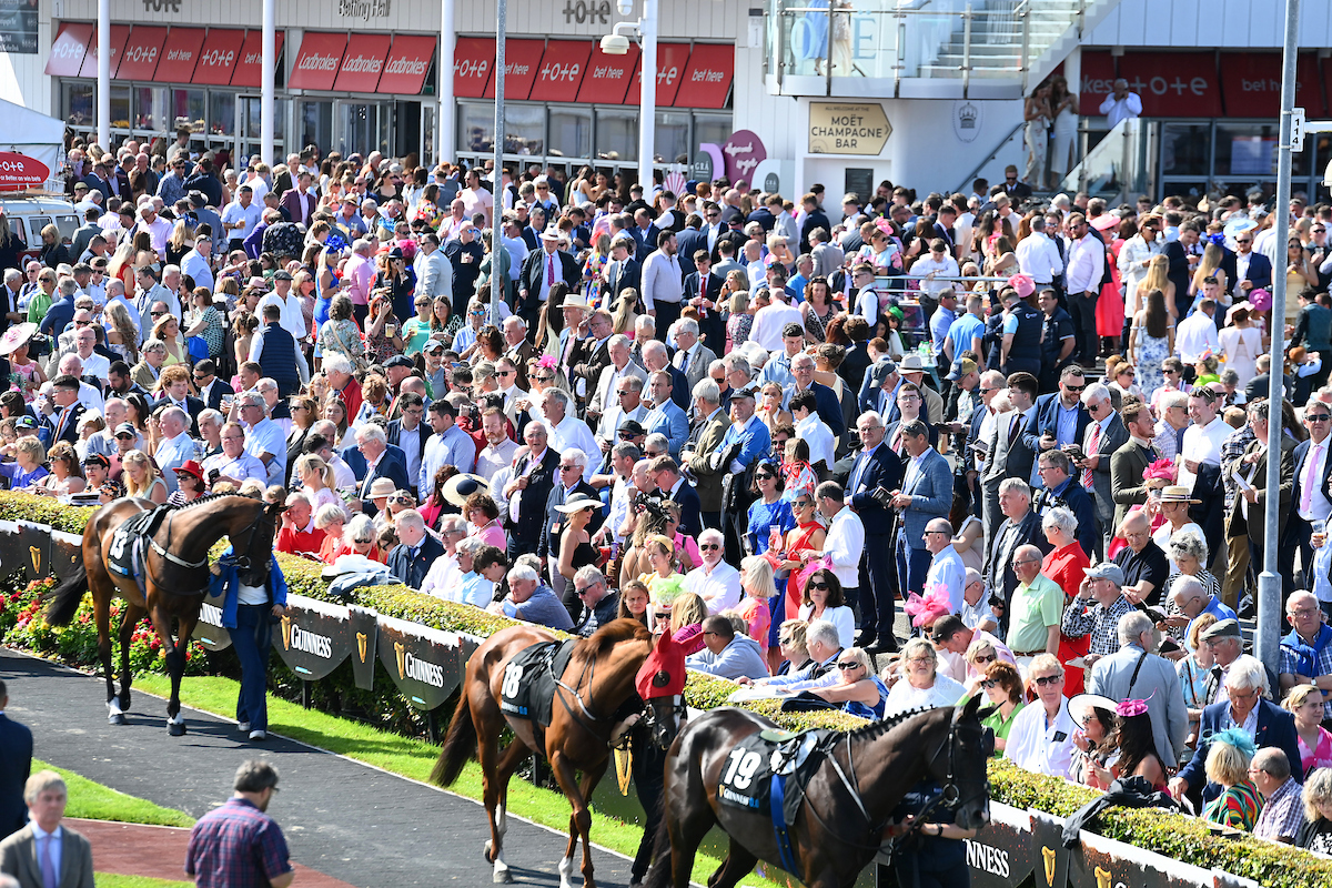 Galway Races are just around the corner – will farmers take a break?