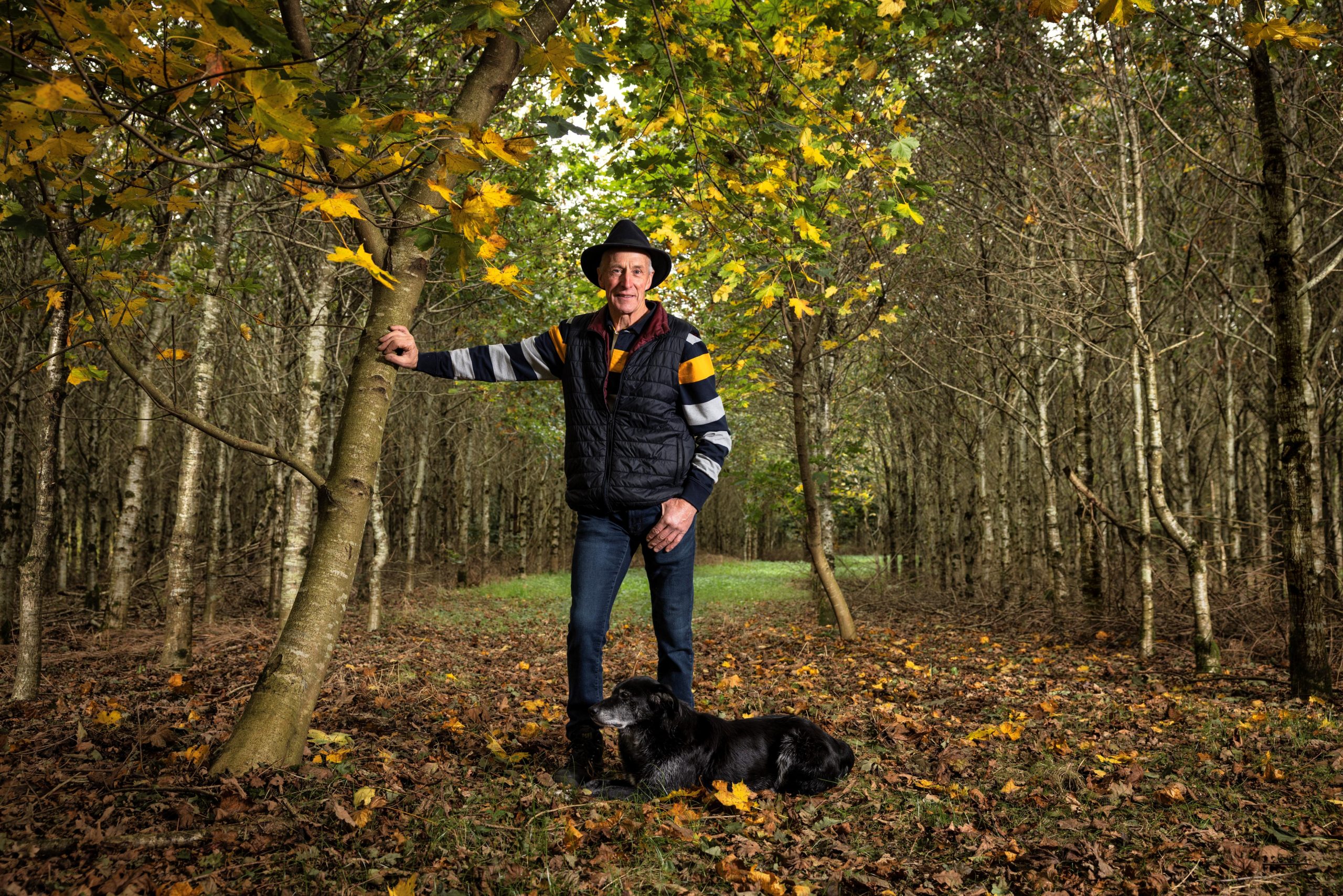 ‘Thinking of forestry, I’d definitely say go ahead’ - Westmeath beef farmer