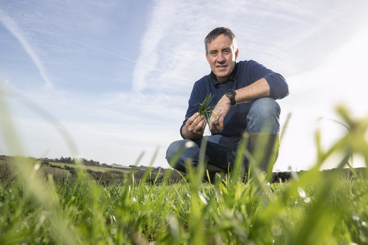 Why choose yield and quality? Get the best of both for your next reseed