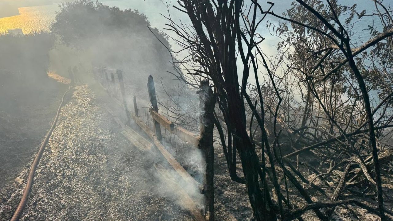 Firefighters contain gorse blaze in Cork