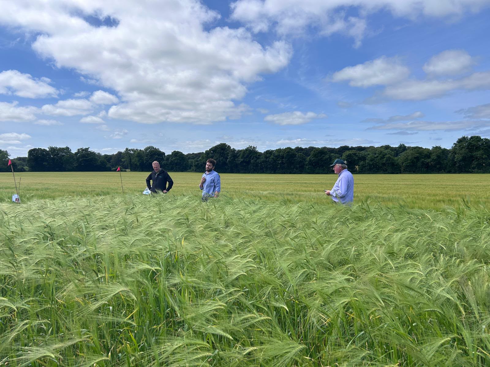 Sustainability at core of grassland crop trials in Tipperary